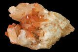 Natural, Red Quartz Crystal Cluster - Morocco #142930-1